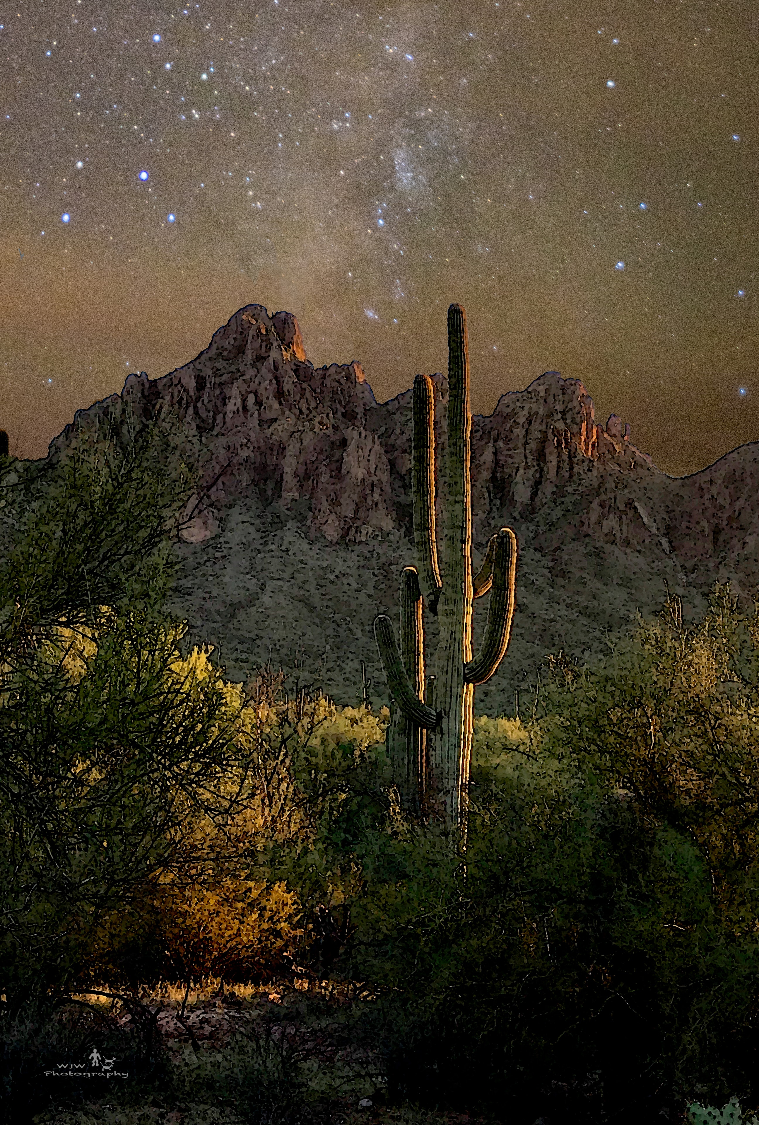 Saguaro cactus lit from below under a starry Milky Way sky with dramatic rocky peaks behind