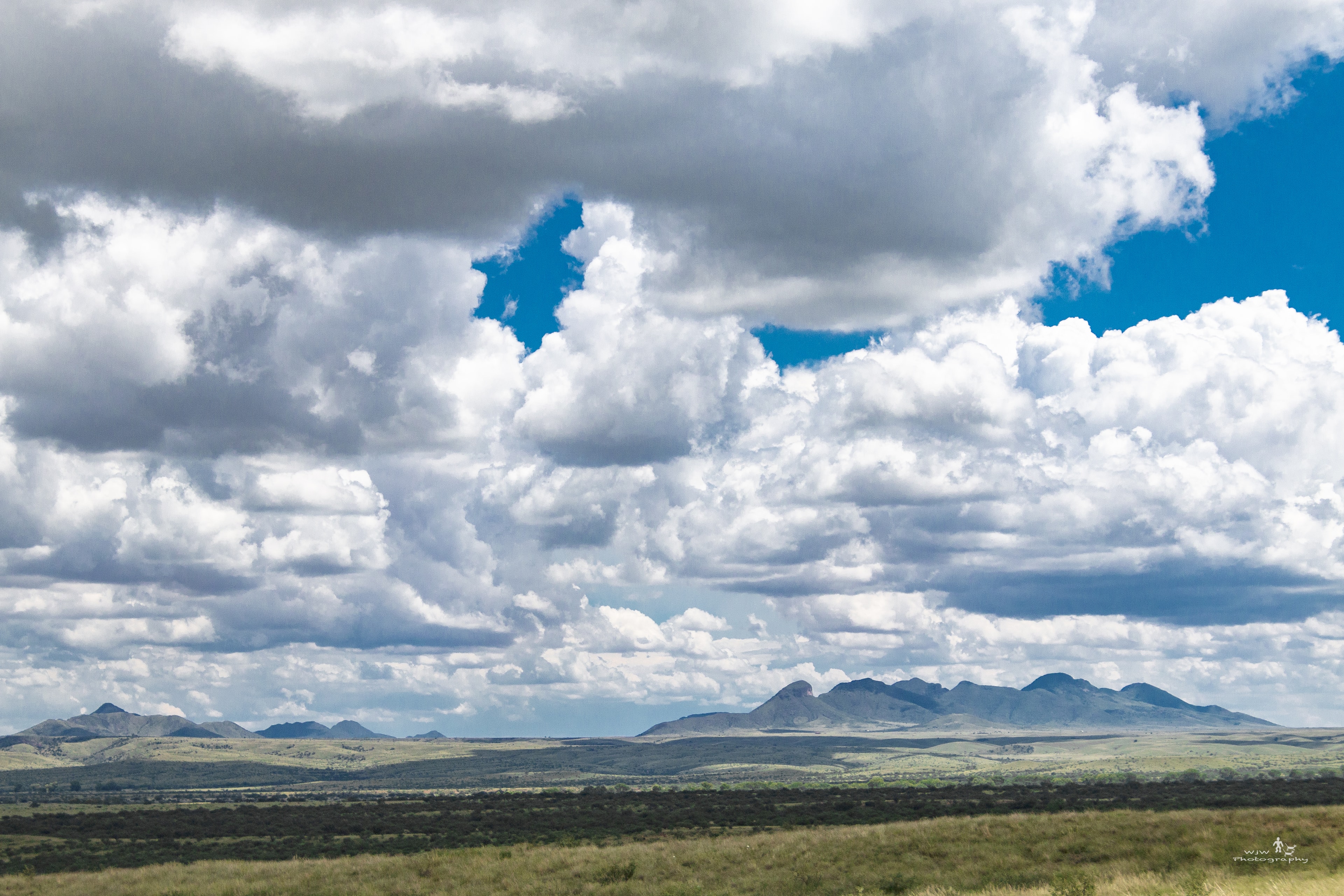 Isolated volcanic peaks rising above the Sky Islands grassland under billowing cumulus clouds