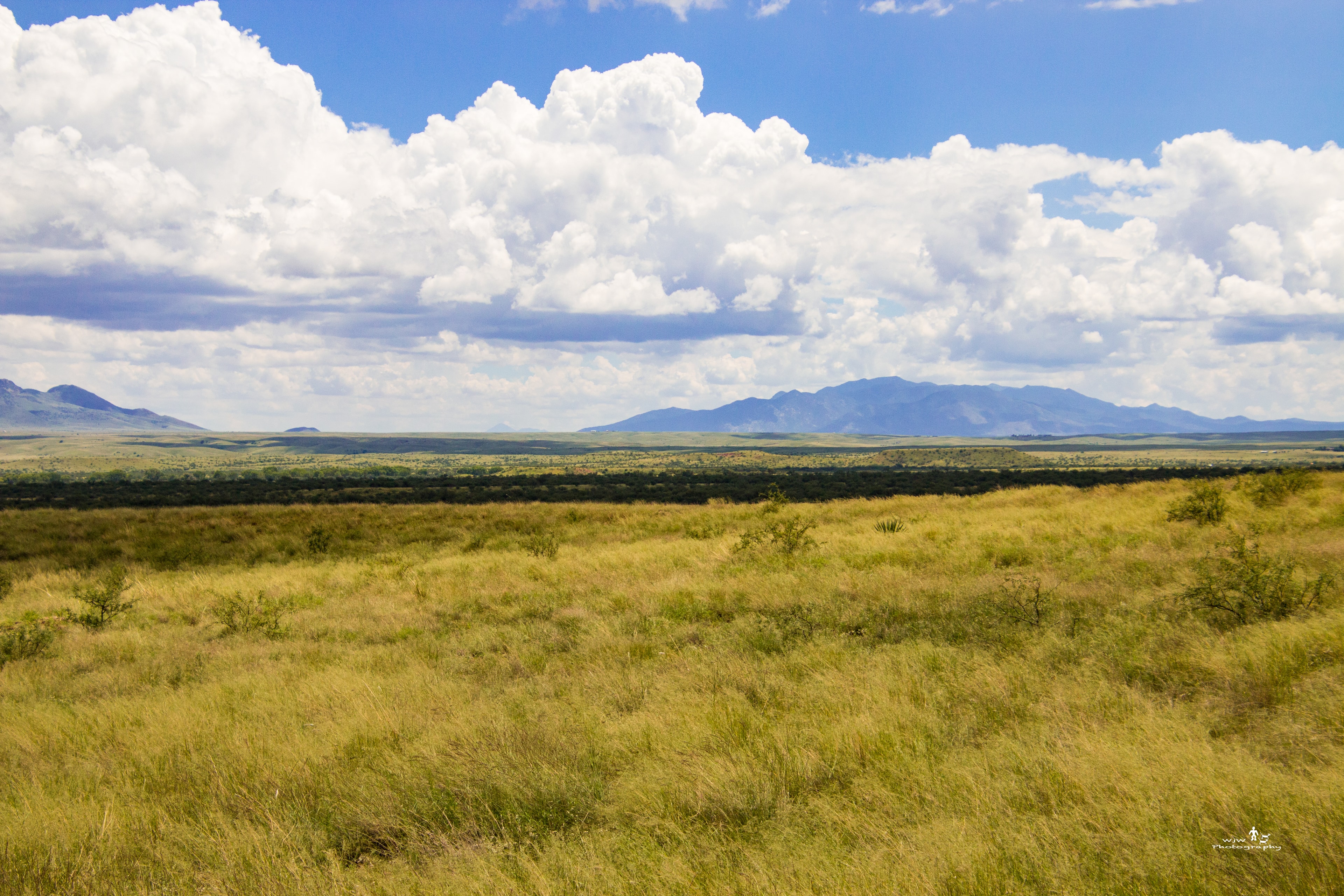 Golden monsoon grassland stretching toward distant blue mountains under a bright summer sky