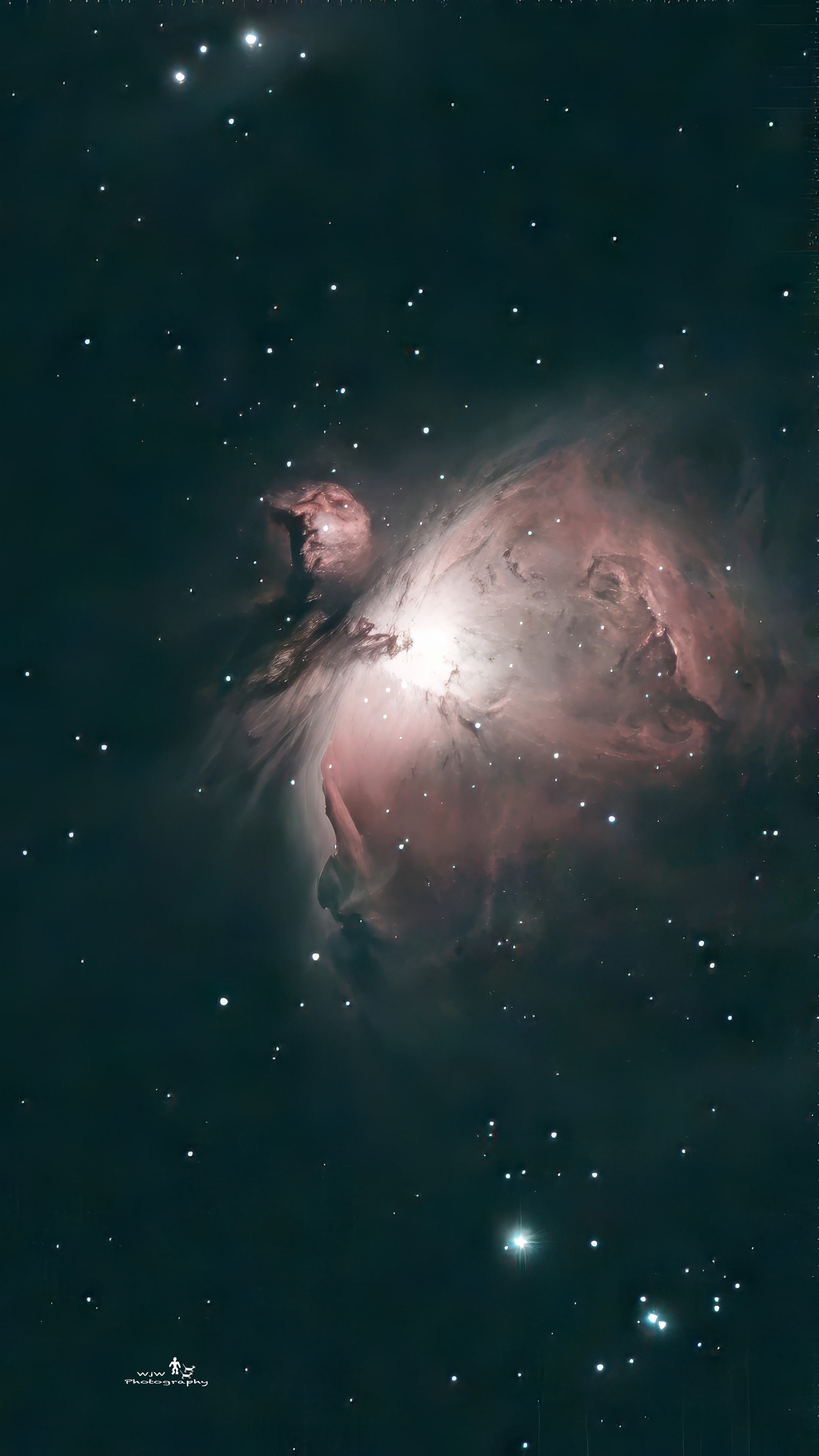 Orion Nebula glowing pink and teal against star field