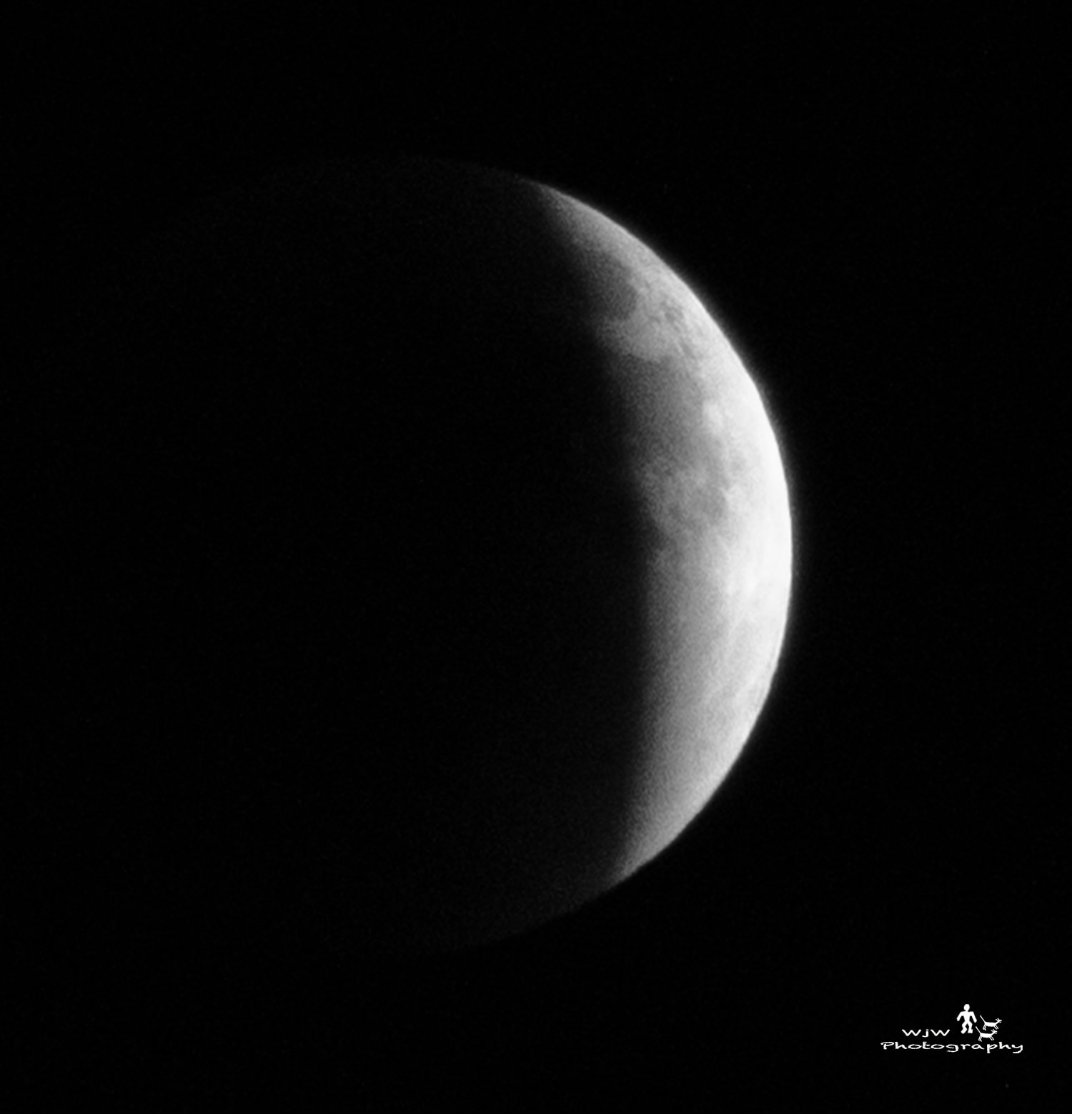Crescent moon against pure black sky