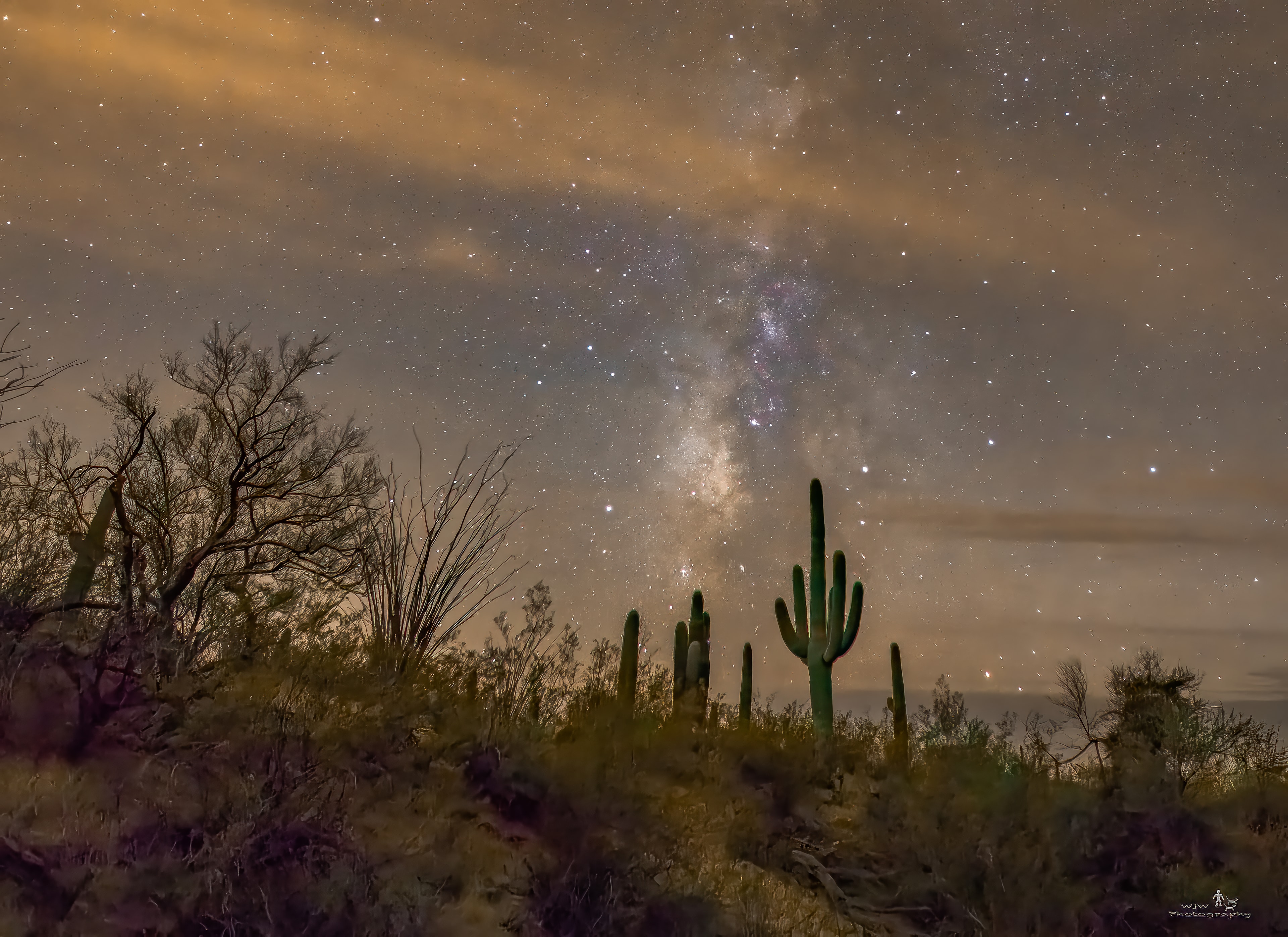 Milky Way rising over saguaro cactus and desert scrub with warm glowing sky